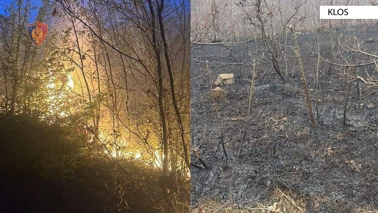 Ndezi zjarr dhe dogji një sipërfaqe toke me bimësi, në hetim 22-vjeçari në Klos