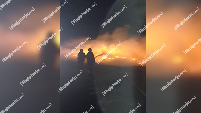 VIDEO/ Vatër zjarri në Nartë të Vlorës