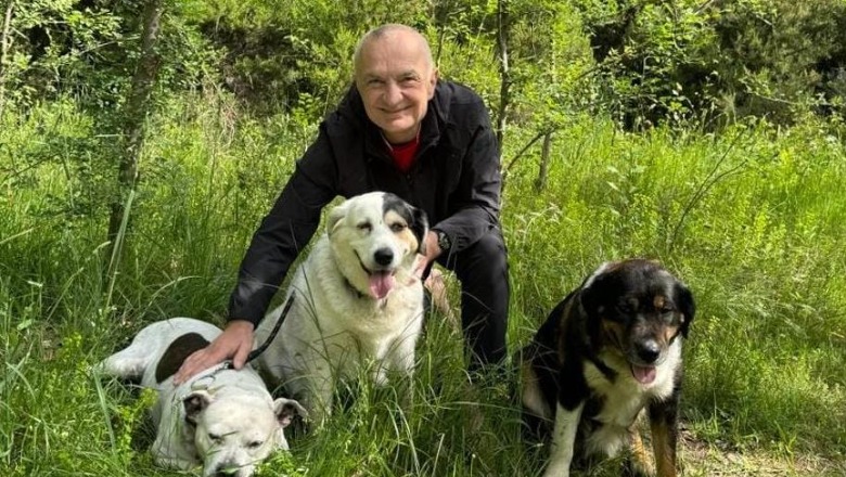 Meta 'tradhton' Sashën, poston foto me disa qen tek Liqeni: Besnikëria e tyre meriton çdo sakrificë