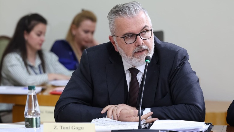 Komisioni i TIMS, Gogu: Të marrim vendime për secilin dëshmitar, jo miratim në bllok