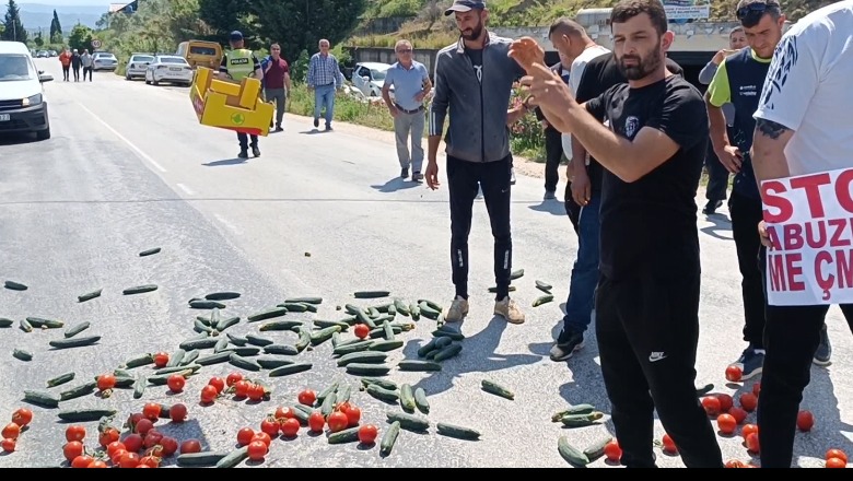 Fermerët në protestë, bllokojnë rrugën Berat-Lushnje, derdhin domatet e kastravecët në rrugë: Stop abuzimit me çmimet!