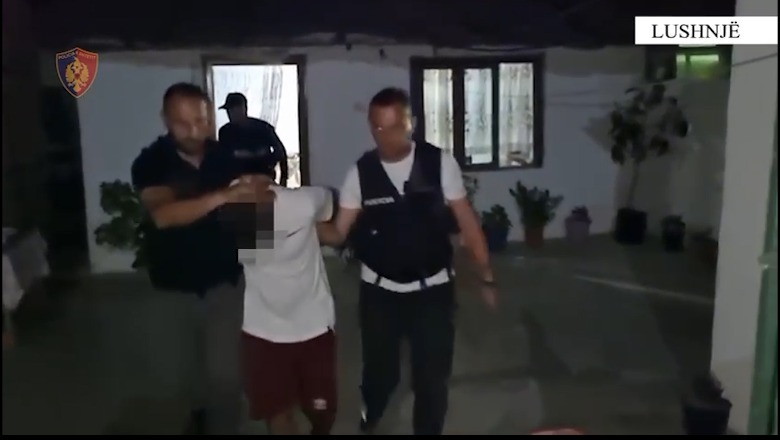 VIDEO/Për dy javë vodhi disa banesa, arrestohet 34-vjeçari në Lushnjë