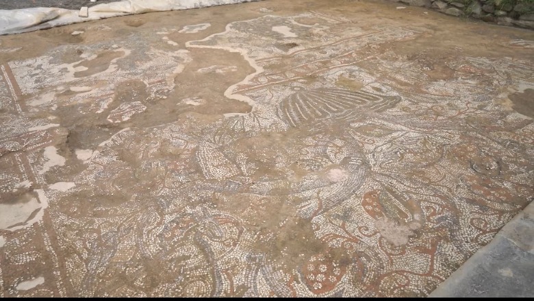 Turistët kanë mundësi të shohin për herë të parë mozaikun e Bazilikës Paleokristiane në Elbasan! Do qëndrojë i hapur për pak kohë
