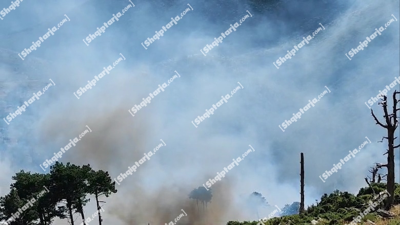 Flakët e zjarri përfshijnë edhe Llogaranë, Report Tv siguron pamjet