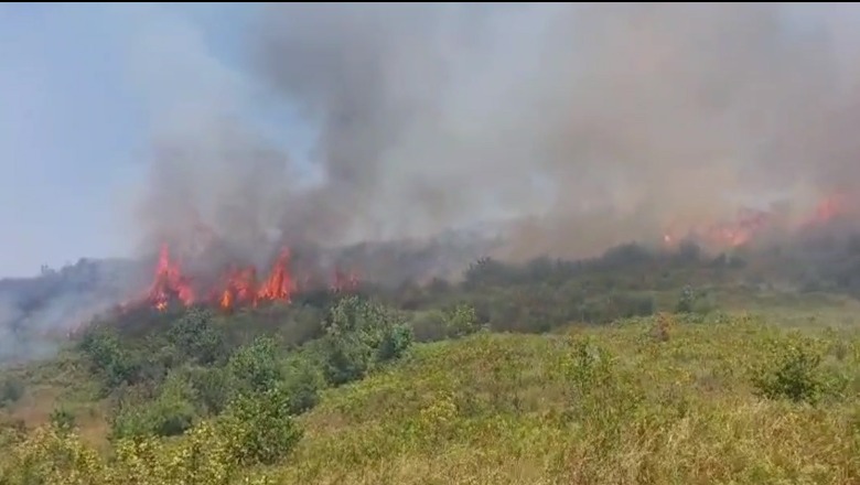 Berat/ Zjarr në 'bllokun e fiqve', përparon në tre kodra mes fshatrave Duhanas e Mimias