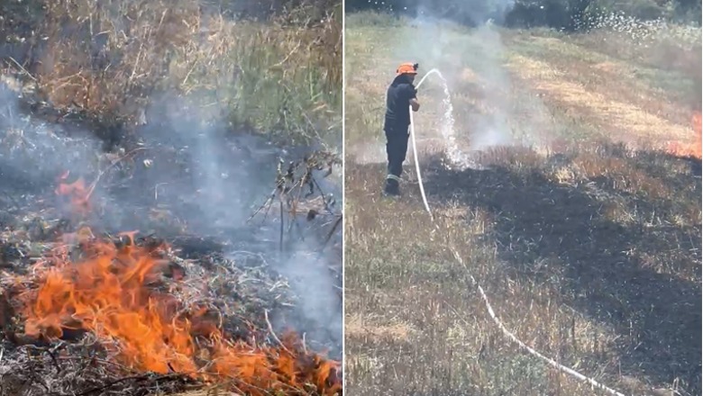 Gjirokastër/ Zjarr në fshatin Humelicë, dyshohet i qëllimshëm! Forcat zjarrfikëse në ‘luftë’ me flakët