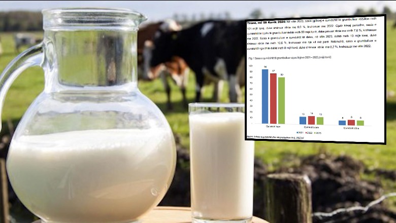 Bie numri i bagëtive, ulet me 8% prodhimi i qumështit! Në 2023 u grumbullua 101 mijë tonë më pak se në 2022