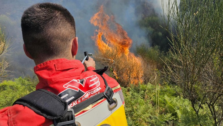 Situata e zjarreve në vend, Ministria e Mbrojtjes: 3 vatra aktive në Delvinë, Gjirokastër dhe në Liqenet e Lurës