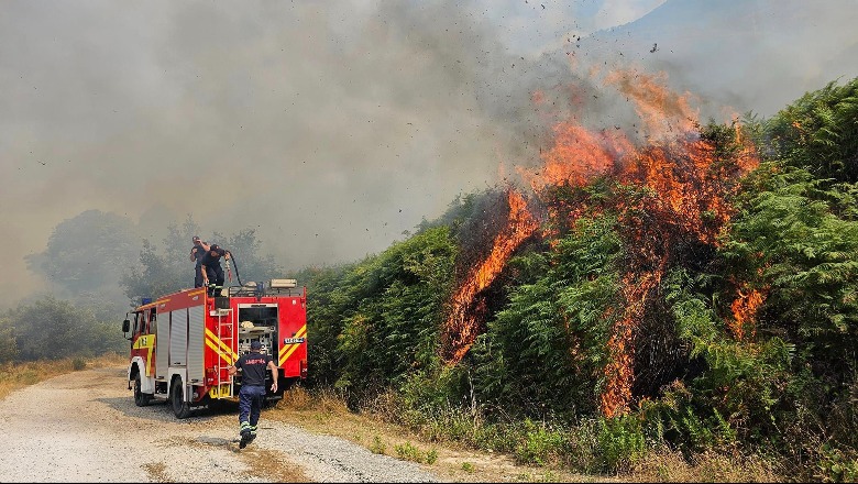 3 vatra aktive zjarri, forcat zjarrfikëse 'në luftë' me flakët në Klos, Dibër dhe Përrenjas