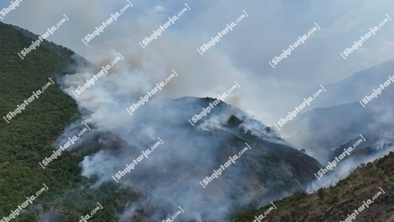 Dibër/ Zjarr masiv në pyjet e fshatit Madhesh