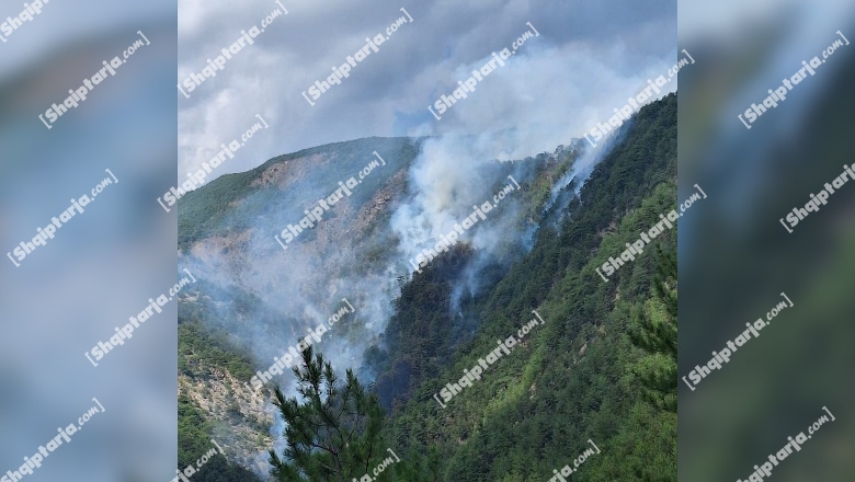 Mirditë/ Zjarr në masivin pyjor të Shmrisë në Orosh, terreni malor vështirëson shuarjen e flakëve