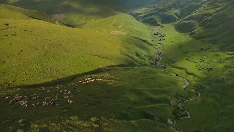 Gjelbërimi i peizazheve baritore të Bjeshkëve të Topojanit në Kukës, destinacion i preferuar i turizmit malor