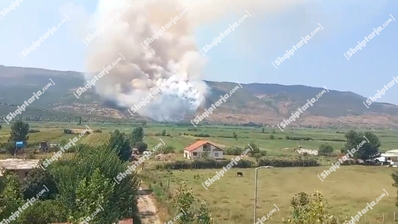 Video/ Zjarr në malin e Rrencit, flakët përhapen për shkak të erës
