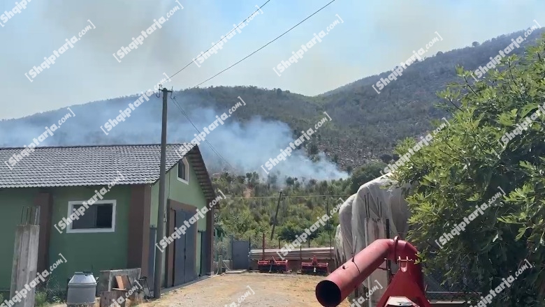 Lezhë/ Zjarr në malin e Rrencit, forcat zjarrfikëse 'në luftë' me flakët! Rrezikohen disa banesa 