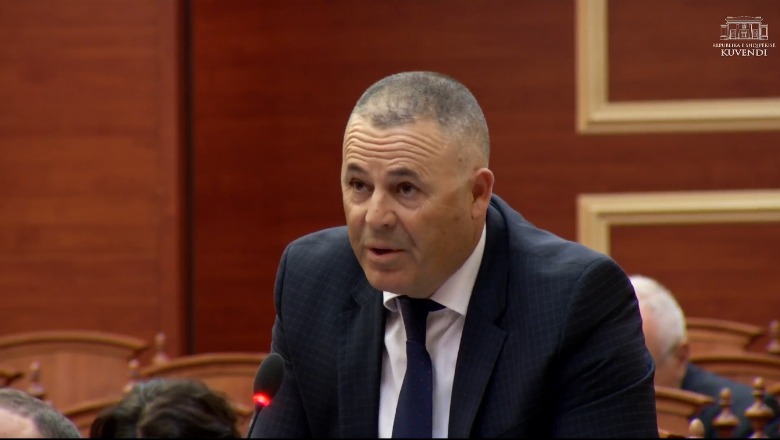 Asllan Dogjani: Ndryshimet në Kodin Zgjedhor s'do të motivojnë kandidatët! Eliminohet gara dhe konkurrenca