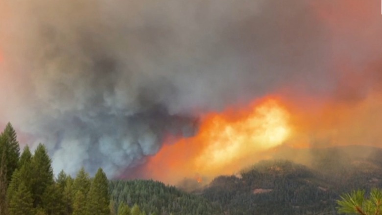 Zjarre ‘apokaliptike’ në Kaliforni, 239 mijë hektarë pyje në flakë (VIDEO)