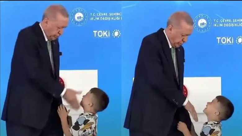 VIDEO/ Refuzoi t'i puthte dorën, Erdogan godet me shuplakë djalin e vogël