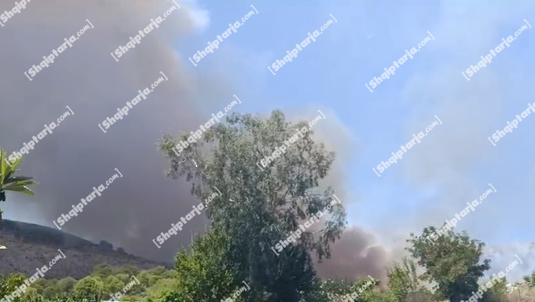 Gjirokastër/ Zjarr në pyllin me pisha në lagjen Gërhot, zjarrfikësit në ‘luftë’ me flakët