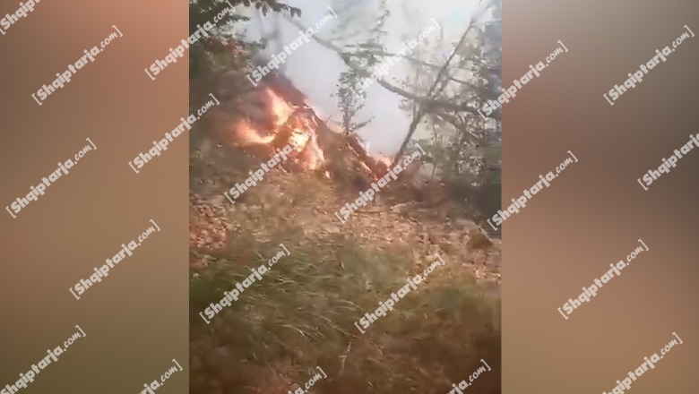 Elbasan/ Zjarr në malet e Zavalinës, zjarrfikësit po mundohen për shuarjen e flakëve! Terreni malor vështirëson punën e ekipeve