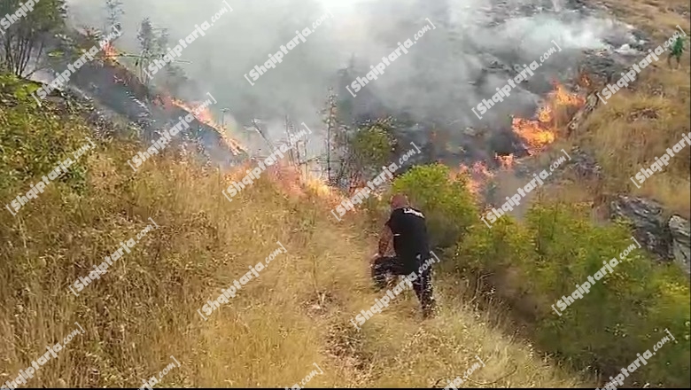 Zjarri në Gjirokastër, aktiv gjatë gjithë natës! Zjarrfikësit në 'luftë' me flakët