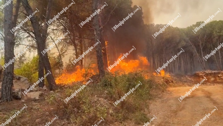 Zjarret/ Mbrojtja Civile bën ‘bilancin’ e 24 orëve: 9 vatra aktive, 18 u shuan! Digjet parku kombëtar i Qafë Shtamës