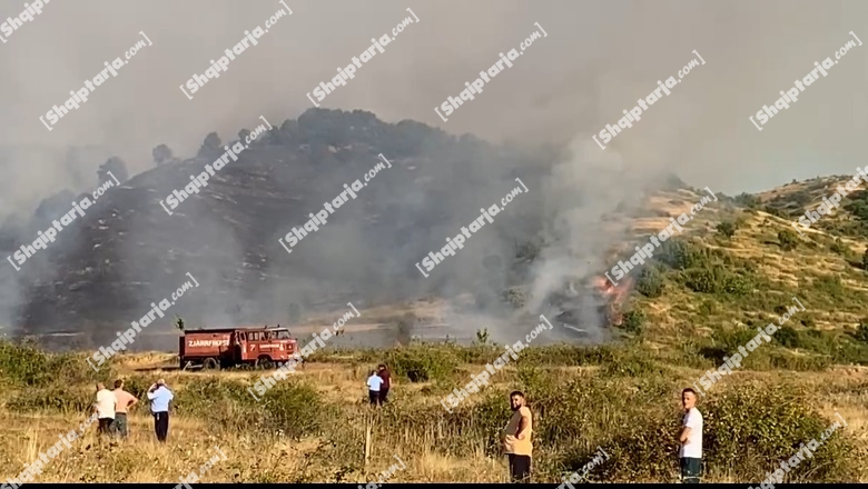 Aktivizohet një vatër zjarri në fshatin Guras në Pogradec, forcat zjarrfikëse dhe banorët 'në luftë' me flakët