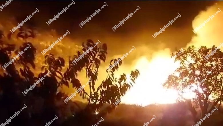 Zjarr në fshatin Konisbaltë në Dimal, digjen pisha e shkurre! Në ndihmë për shuarjen e flakëve edhe zjarrfikëse nga Berati e Kuçova