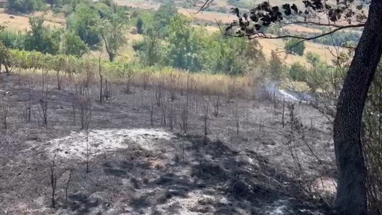 Zjarr në fshatin Kurqele të Klosit, flakët rrezikuan banesat