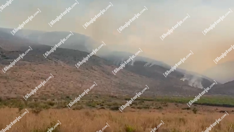 Konispol/ Zjarr në malin e Saraqinit (VIDEO)