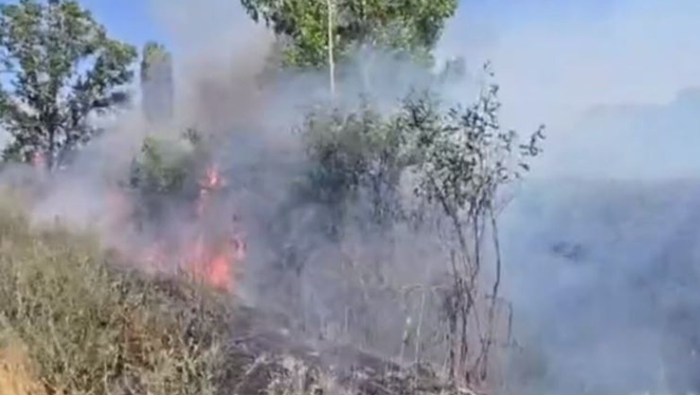 Zjarr i qëllimshëm në Dimal, digjen hektarë me pisha e shkurre, edhe ushtria në aksion