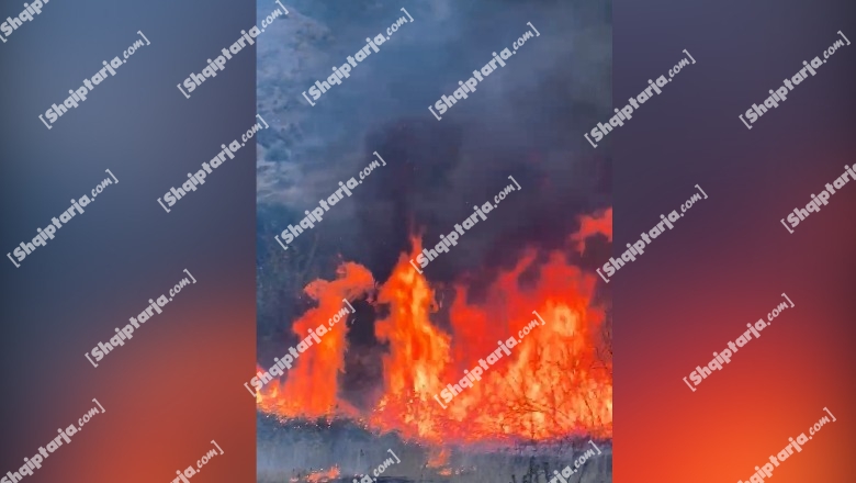 Gjirokastër/ Fushat e fshatit Shtëpëz përfshihen nga flakët, në vendngjarje zjarrfikësit! U rrezikua një bujtinë