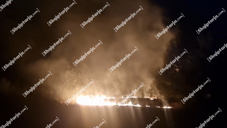 Dibër/ Zjarr i madh përfshin disa hektarë në Zerqan, dyshohet i qëllimshëm (VIDEO)
