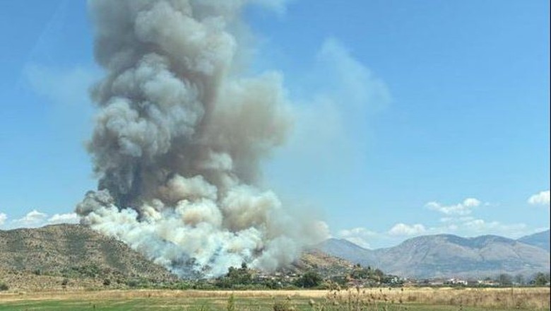 Zjarri në Finiq, Auron Tare: Kur Fajin nuk e kanë Barbarët