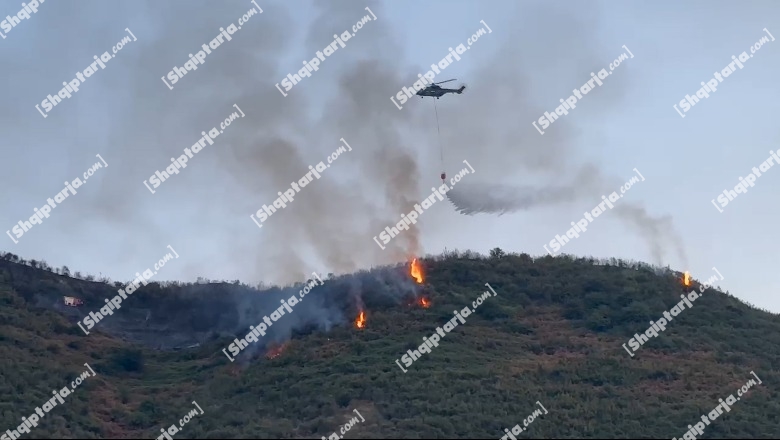 Zjarri në parkun arkeologjik të Finiqit, momenti kur helikopteri ndërhyn për të shuar flakët