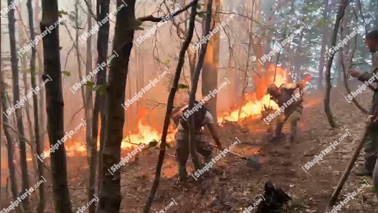 Zjarri përfshin Parkun Kombëtar të Qafë-Shtamës, e vështirë të ndërhyhet nga terreni! Në operacion edhe 50 forca të ushtrisë