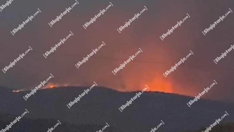 Zjarri në Gorisht dhe Gjormë të Selenicës, zjarrfikësit po punojnë për shuarjen e flakëve