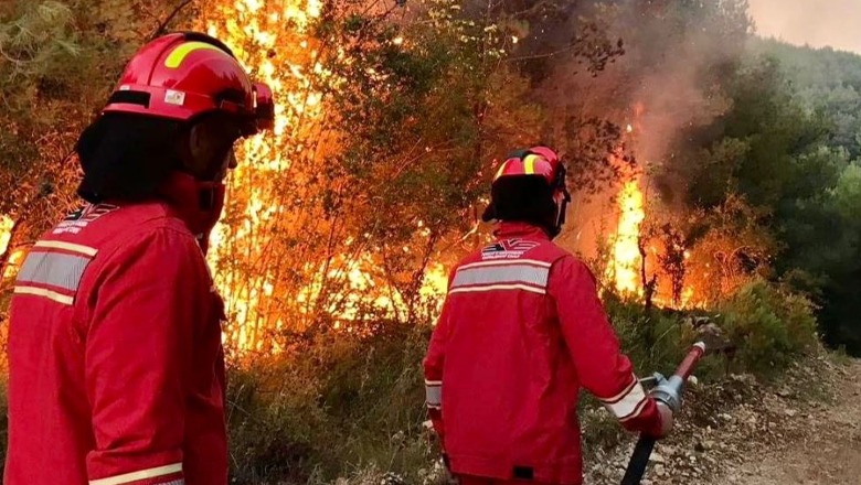 Zjarret/ 11 vatra zjarri aktive në vend! Vijojnë të jenë aktive flakët në Parkun kombëtar të Prespës në Malin e Thatë