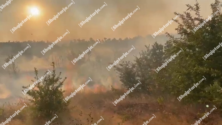 Zjarr në pyjet e kullotat e Kangrazhdit në Burrel, era favorizon flakët! Zjarrfikësit në terren