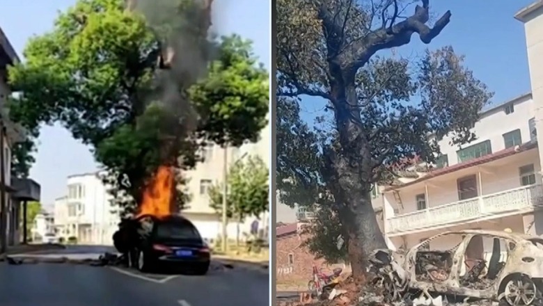 Kinë/ Maserati shkrumbohet e tëra pas përplasjes me pemën 400 vjeçare (VIDEO)