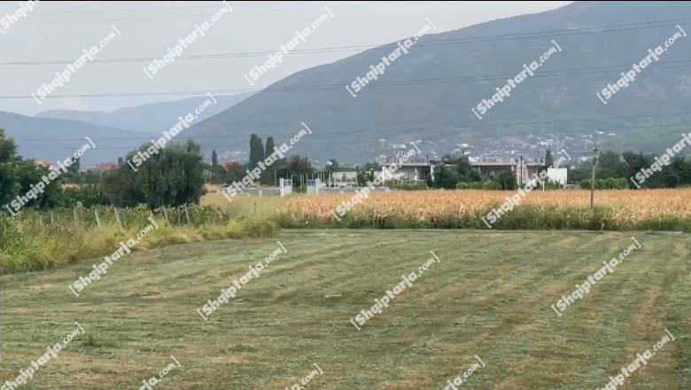 Kurbin/ Dy familje sherr me armë e sende të forta për tokën! Babë e bir plagosin 3 vëllezër, njërin e qëllojnë me armë, 2 të tjerë i dhunojnë fizikisht