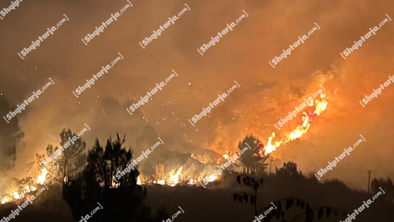 Gjirokastër/ Zjarr masiv në fshatin Valare, flakët drejt staneve të bagëtive (VIDEO)