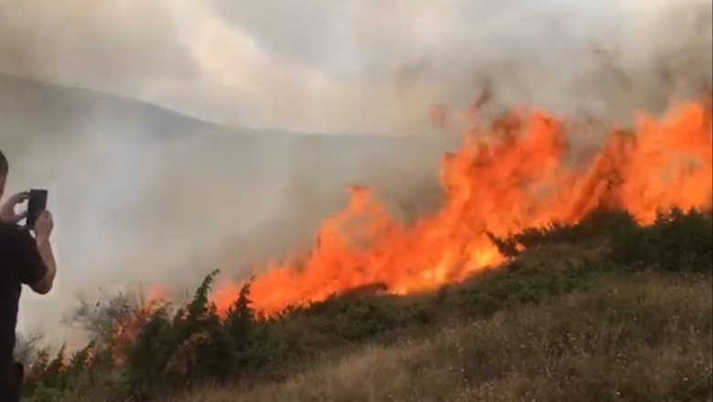 Zjarr në masivin pyjor në fshatin Novosej të Kukësit, kërkohet ndërhyrja nga ajri! Terreni i thyer vështirëson shuarjen e flakëve