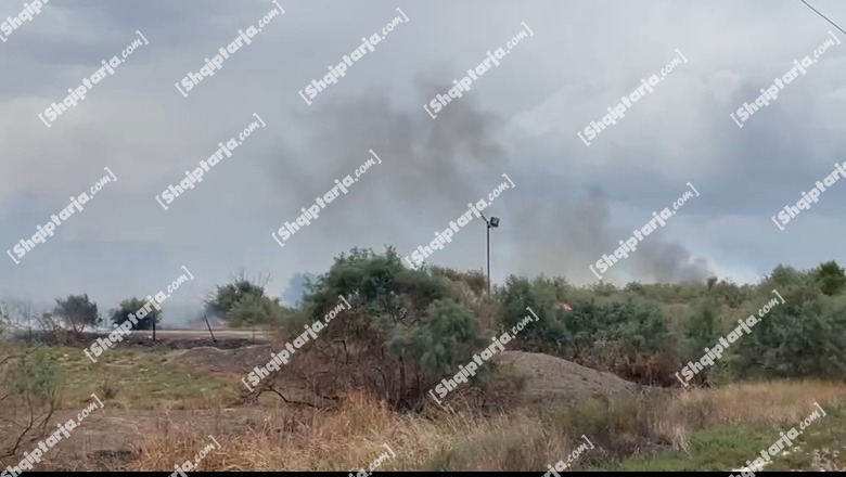 Vlorë/ Zjarr i fuqishëm pranë autostradës në Panaja, shkrumbohen bimësi dhe ullishta! Era favorizon flakët, të panjohura shkaqet (VIDEO)