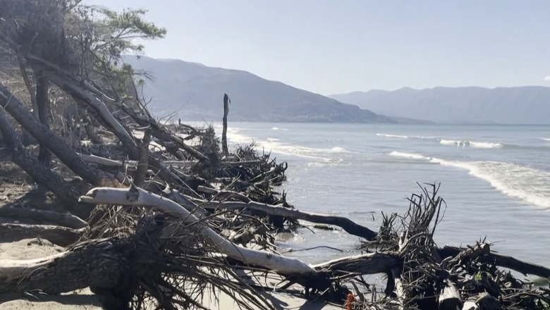  Vlorë/ Deti përparon drejt tokës, erozioni rrëzon pishat në Pyllin e Sodës! Specialisti: Ka ndikuar djegia e pyjeve dhe plehrave