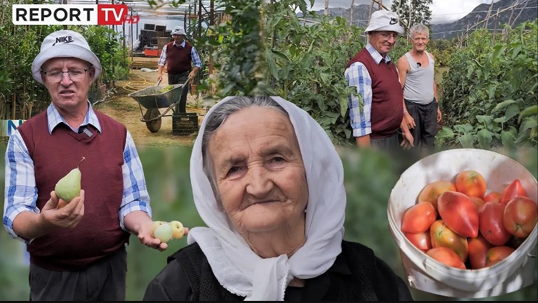 'Bujqësia, shtëpi pa çati', njihuni me agronomin nga Nikla që ruan varietetet mbi 100-vjeçare