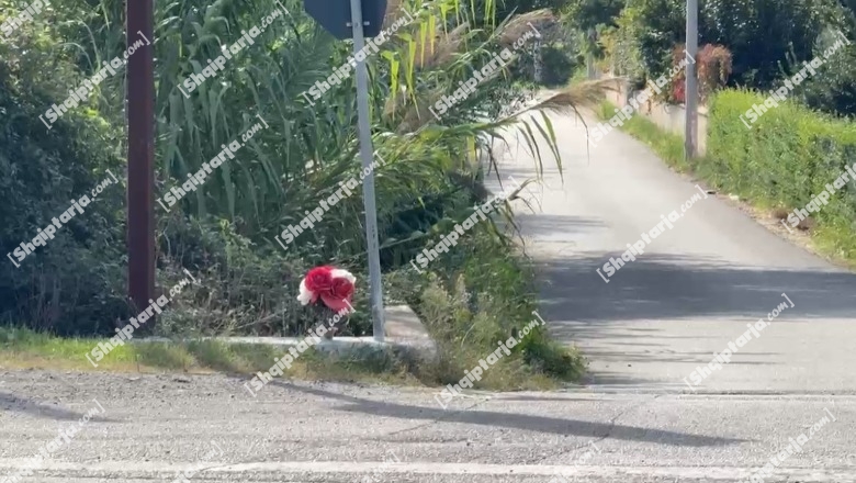 Motori përplas për vdekje 75-vjeçaren në Lezhë