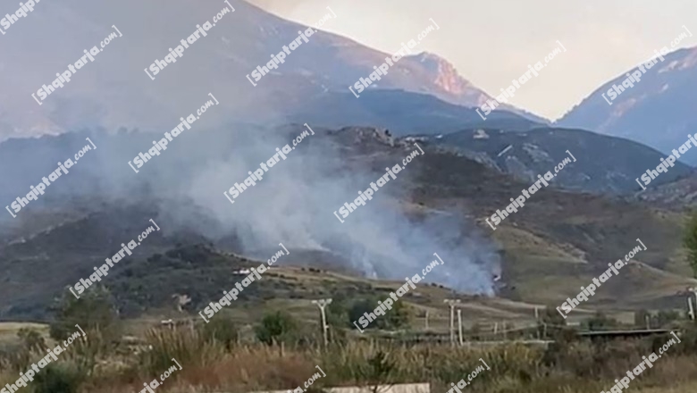 Vlorë/ Zjarr në fshatin Tragjas, digjen bimësi dhe shkurre