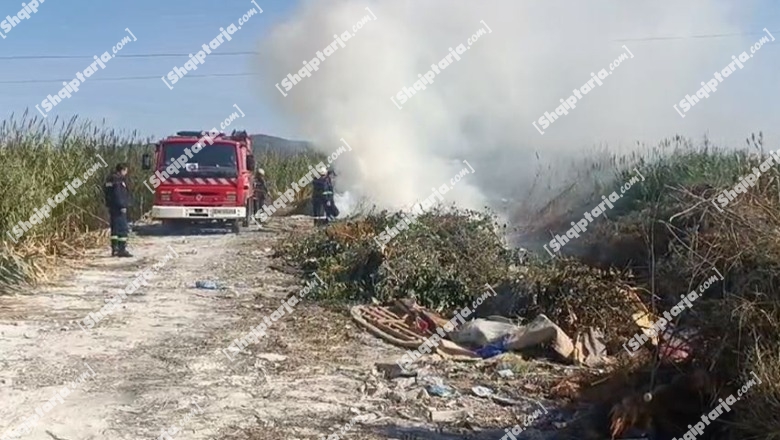 Lushnjë/ Digjen sërish mbetjet në përroin e thatë, tymi mbulon qytetin (VIDEO)