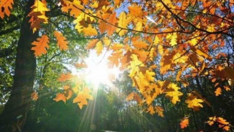 Diell dhe temperatura deri në 15 gradë, parashikimi i motit për sot