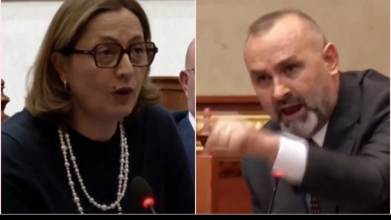 Çupi: Po kaloni ligjin e të dhënave personale për të gjobitur bizneset! Manja: Ngritët shoqata anonime biznesi për të bllokuar ligjin që kërkon BE! Qëllimi juaj sabotimi i integrimit, punoni si qyqe